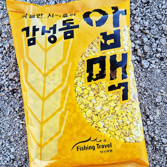 낚시여행 황금보리 황금압맥 바다낚시 감성돔 압맥 노란압맥, 1개, 350g