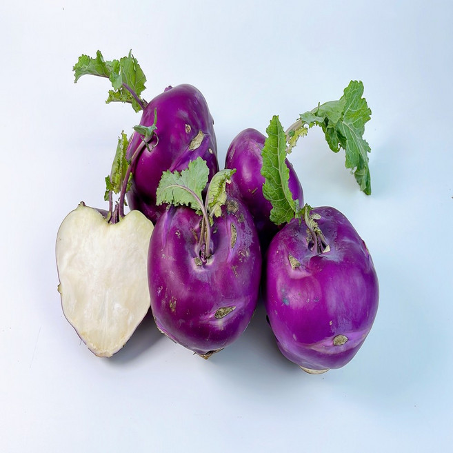 (새벽경매) 노씨고집 제주 정품 콜라비, 1개, 2kg