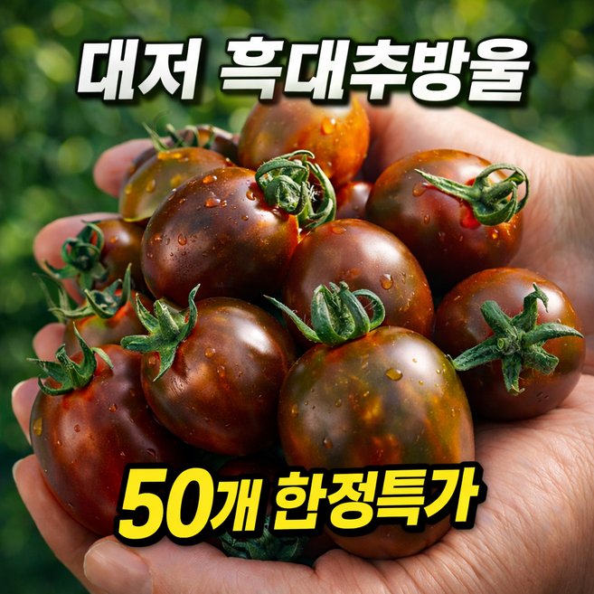 [산지직송] 부산 대저 흑대추 방울토마토 블랙토마토 특품, 1세트, 1kg