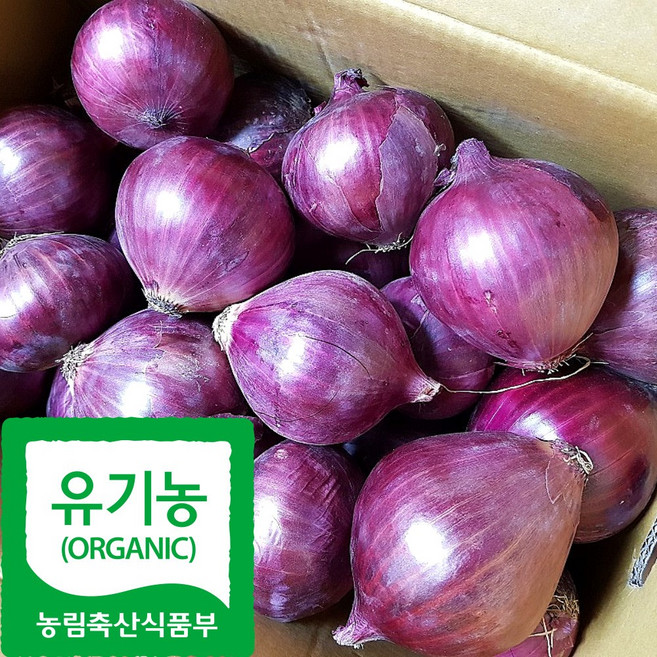 국내산 친환경 자색 양파, 1박스, 3kg