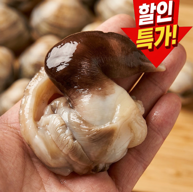 [오늘하루특가] 산지직송특가 당일조업 여수새조개 초특가할인, 1박스, 400g