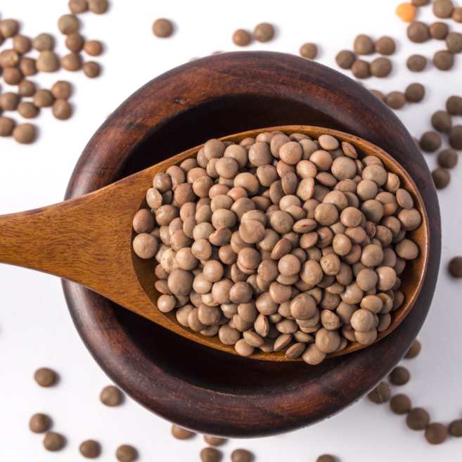 [정성든]갈색렌틸콩 5kg 캐나다산 햇곡 잡곡 슈퍼푸드, 1개