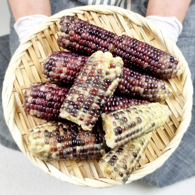 국내산 정선 흑찰 찐 냉동 옥수수, 10개, 중(10~14cm)