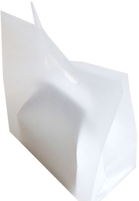 성원비닐포장 투명 비닐쇼핑백 소 테이크아웃 비닐봉투 100개입, 1개, HD투명