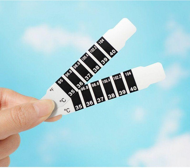 스티커형 체온 열체크 스마트감지 세비아숲, 10개