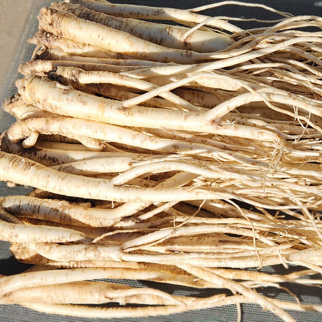 태산농장 안동 나물 도라지 약도라지, 1박스, 흙 나물 도라지 1kg