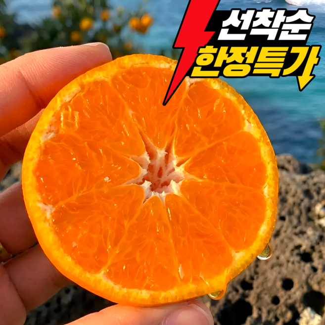 [서귀포직송] 제주 카라향 15brix 고당도 당일수확, 1박스, 3kg 로얄과