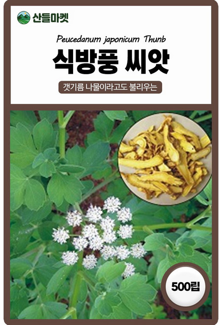 아람종묘 식방풍씨앗 500립 갯기름나물 식방풍씨 종자, 1개