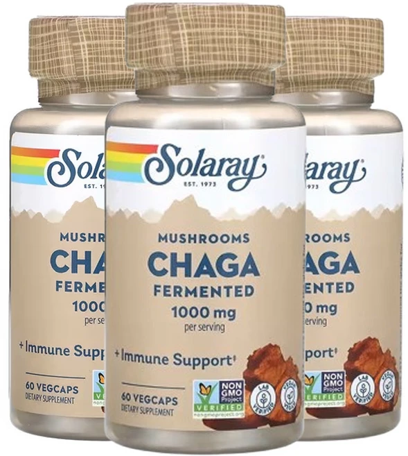 솔라레이 발효 차가버섯 1 000mg 60베지캡슐(캡슐당 500mg), 3개, 60정 - 쿠팡