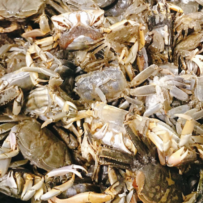 손질 베이비크랩 꽃게튀김 칠게, 1개, 베트남 1kg