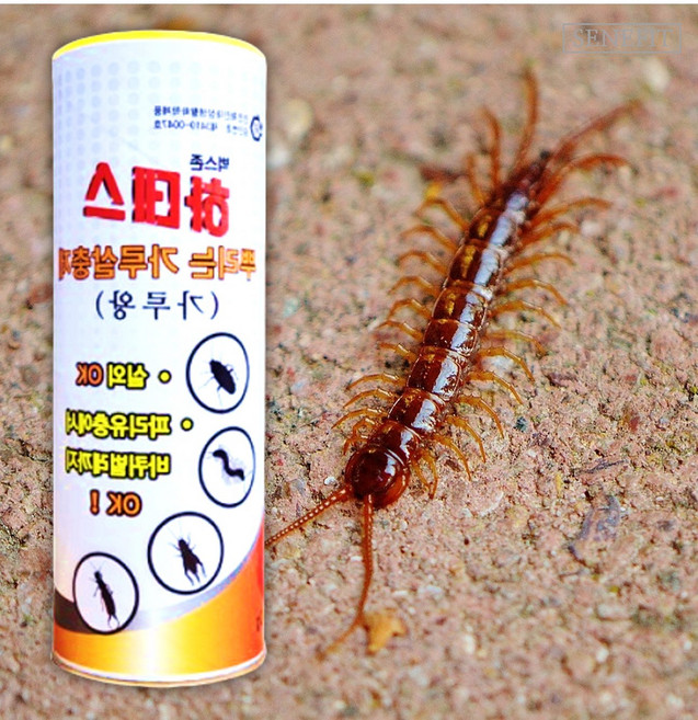지네약지네퇴치 콩벌레퇴치 쇠파리 먹파리 쥐며느리 퇴치 벌 귀뚜라미 살충제 개미죽이는약, 1g, 1개