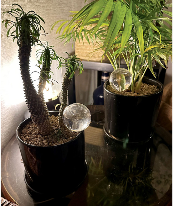 화분 자동급수기 S사이즈 2개, 투명