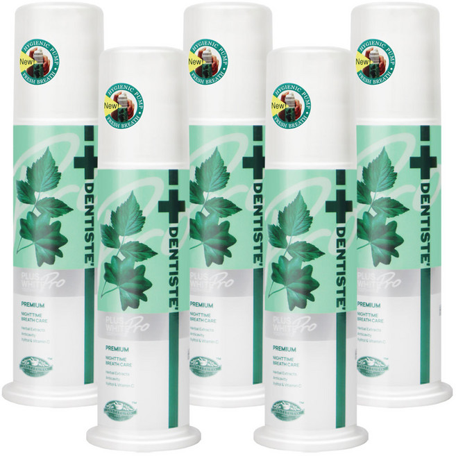 덴티스테 뉴 플러스 화이트 치약, 120g, 5개