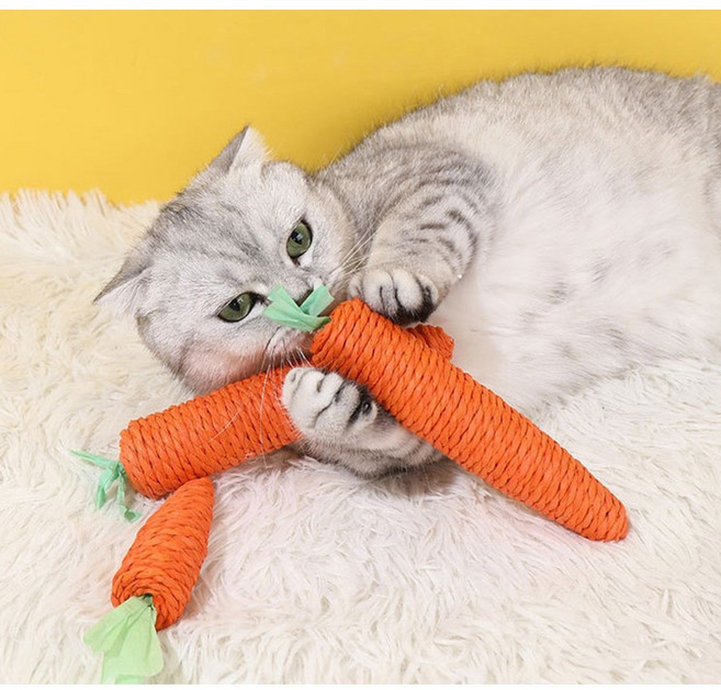 츄르몽 당근 이갈이 고양이 장난감, 4개, 당근(큰2,작은2)