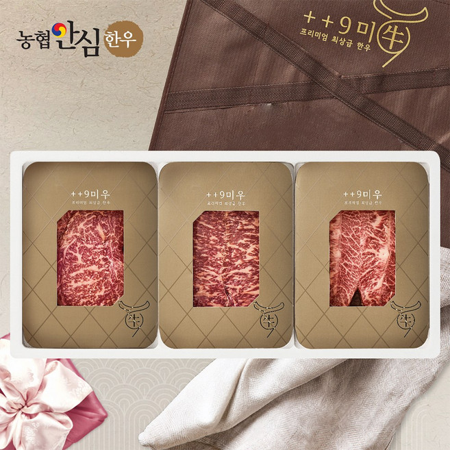[구미우] 1++9등급 이룸 한우 선물세트 2호 등심+채끝살+부채살/각300g/총900g, 1세트