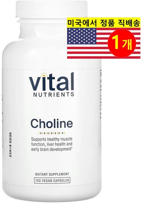 ProHealth Longevity 콜린 550mg 보충제 Choline, 1개, 120정 - 쿠팡