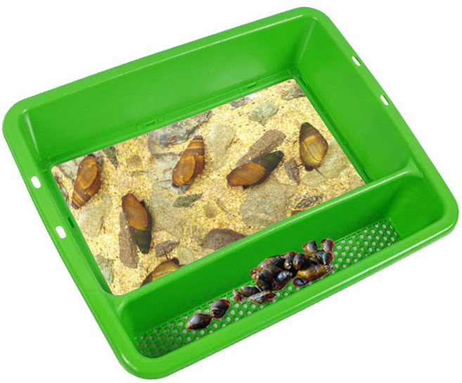 다슬기 수경 고디 채집통 유리창(대) 체험현장 국산