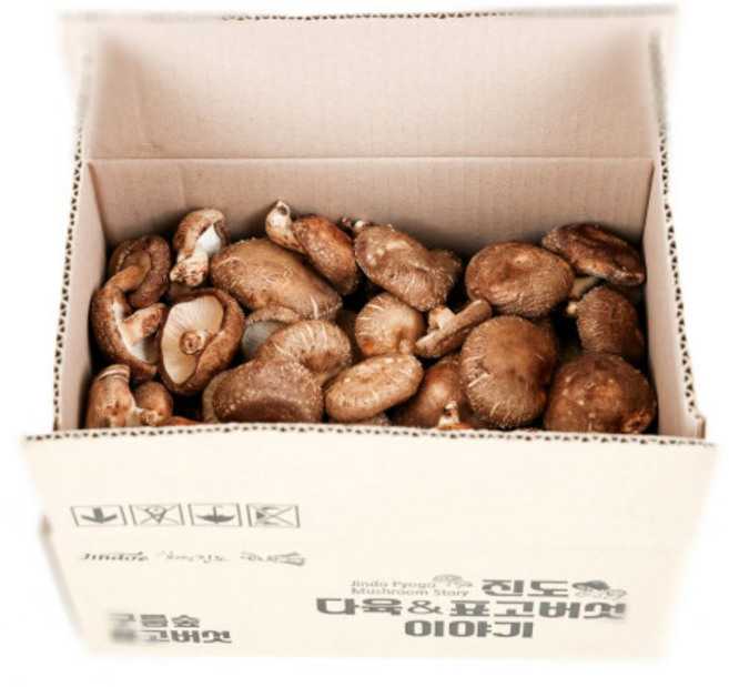 진도 표고 다육이야기 운림산방 생표고버섯 2kg 식재료의 품격 국내산 유기농버섯 산지직송, 1개