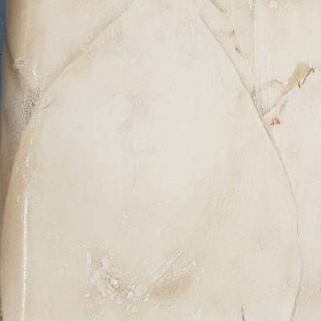 (한마음 미트) 킹 대왕 오징어 몸통 (냉동), 1개, 3kg