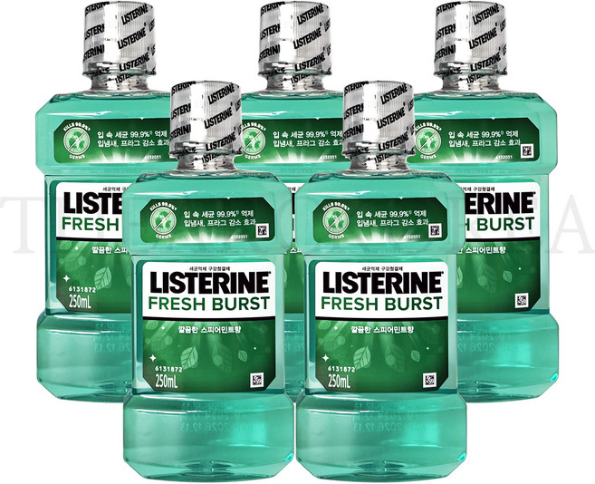 리스테린 세균억제 구강청결제 후레쉬버스트250ml, 250ml, 5개