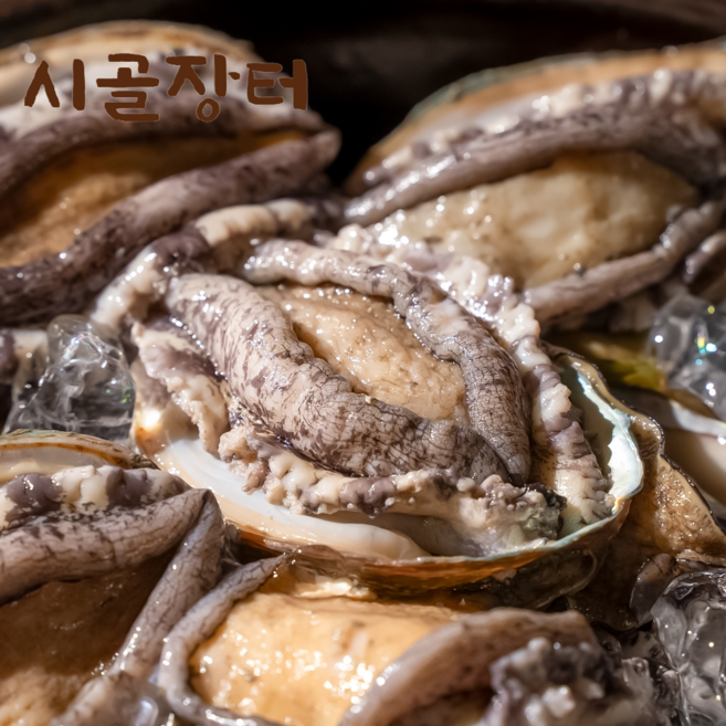 시골장터 완도 전복, 1개, 실속형 참전복 22-24미 1kg