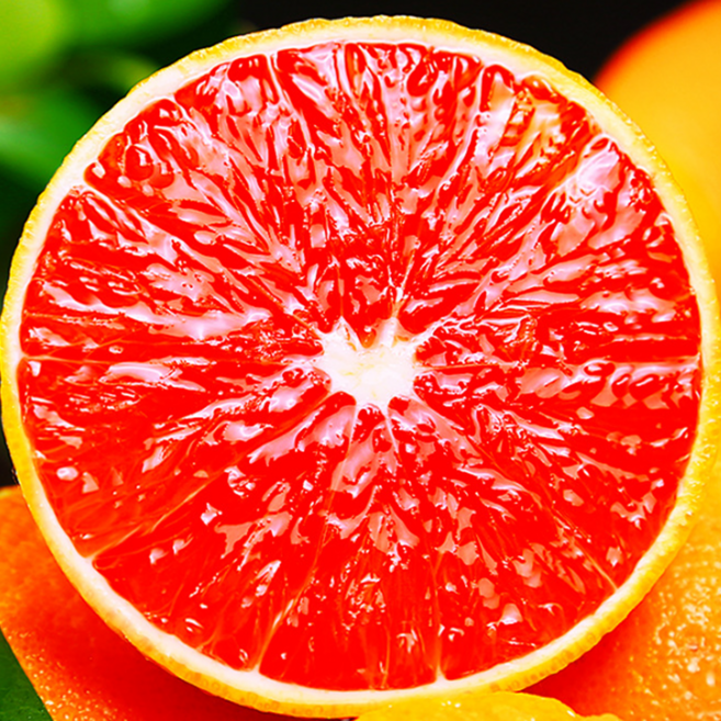 [30박스한정] 역대초특가 꿀즙가득 프리미엄로얄 카라카라오렌지, 1개, 10과