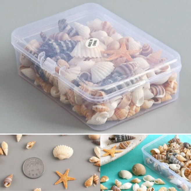 조개껍질 천연 조개 소라 껍데기 혼합 50g 파츠 바다 여름 만들기 꾸미기 재료 레진 아트, 1개