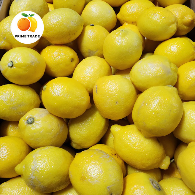 [프라임농장] 실속 레몬 5kg, 1박스, 단품