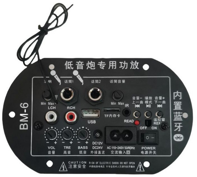 低音炮專用功放板 內置藍牙 USB/TF卡 12V/24V/220V 車載DIY音響主板, 話筒功能12v24v220v通用