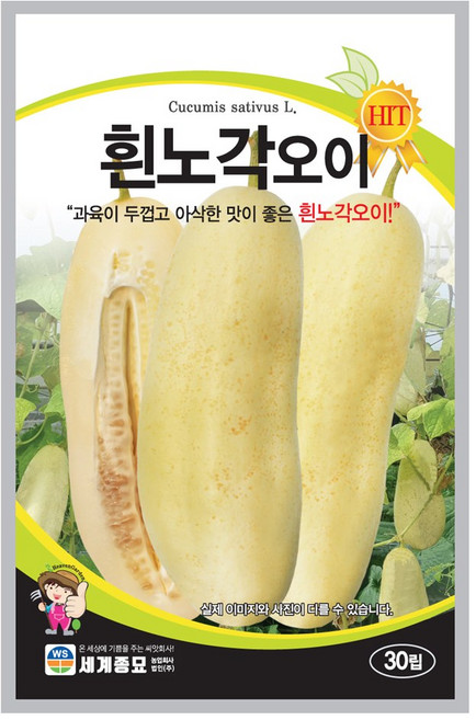 세계종묘 흰노각오이 씨앗 30립, 1개
