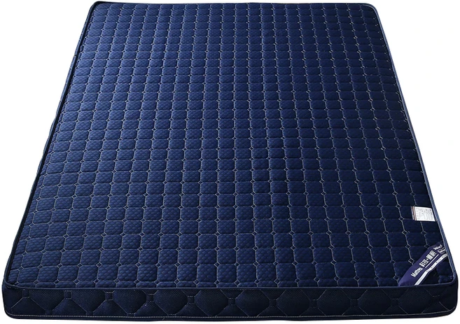 4D回彈記憶五層床墊 10cm厚 舒適柔軟 吸濕透氣 雙面可用 人體工學 高彈抗壓, 床墊雙人藍色, 10mm