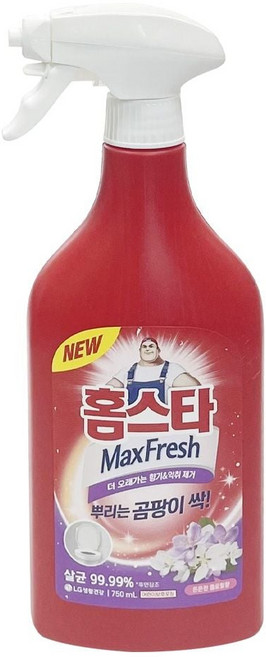 홈스타 맥스 뿌리는 곰팡이 싹 세정제 750ml - O
