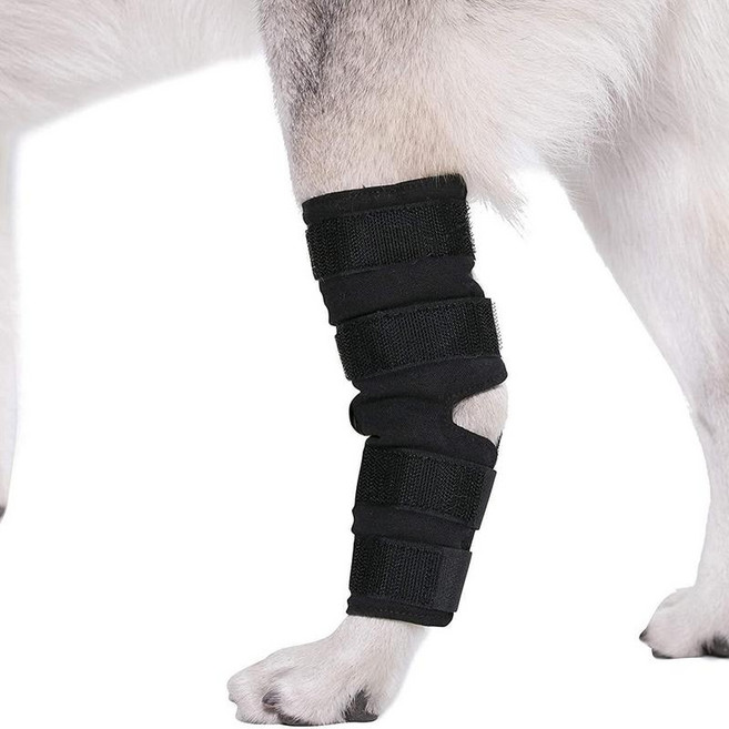 寵物手術恢復關節護膝, 黑色對裝 L, 1個