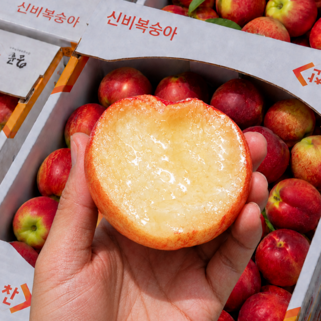 [특대과선별] 14brix 명가농장 신비복숭아, 1개, 특대과 1kg