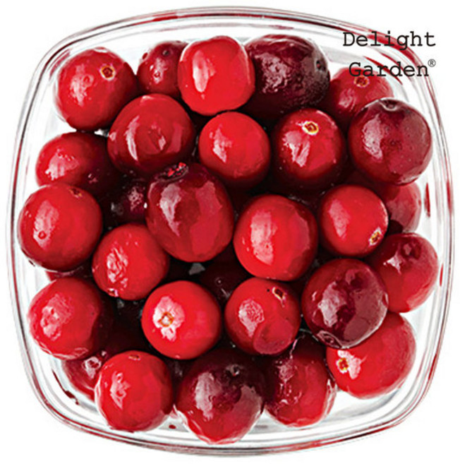 딜라잇가든]냉동 크랜베리, 1kg, 5개