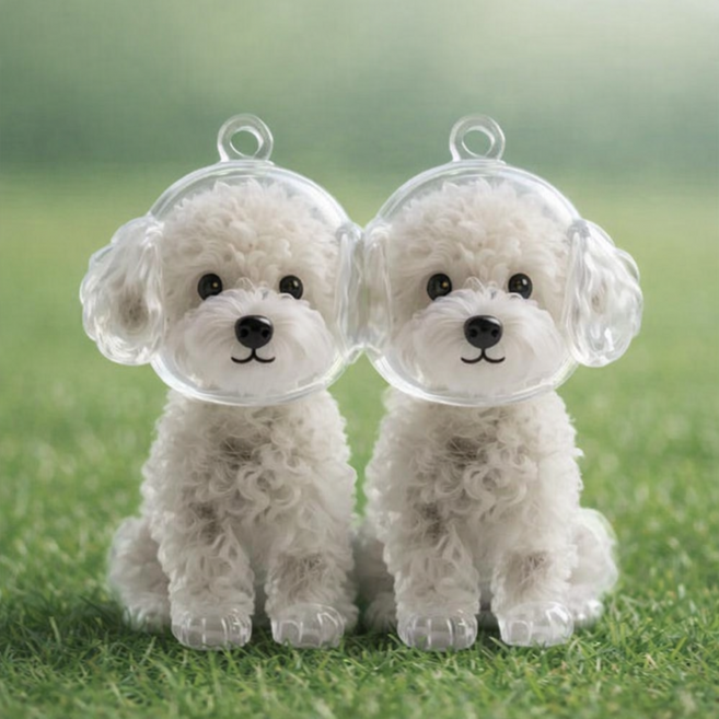 BCQ 1+1 반려동물 털 캡슐 투명 키링 열쇠고리 가방 장식 액세서리 개털 애완동물 모발전용 수납 강아지 고양이등, 2개, 푸들