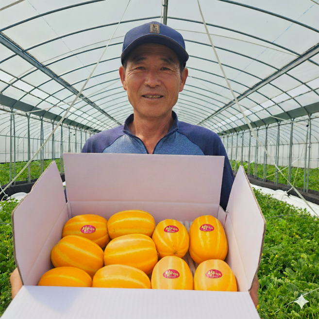 [재구매율1위] 산지 농장직송 성주 참외, 1박스, 3kg (혼합과)