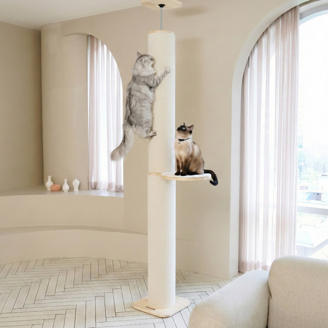 더따슴 판테온 원목 캣폴 캣타워 흔들림없는 고정형 빅사이즈 225cm~, 코지 아이보리 기둥, 2세트