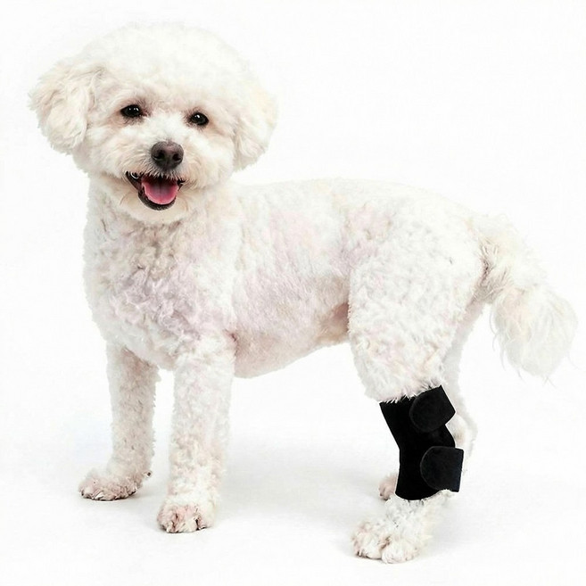 강아지슬개골 보호대 뒷다리 보조기 관절보호대 국산 의료기기 아임펫벳, 1개, 블랙_S