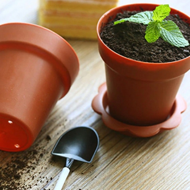 (5세트) 화분모양 컵케이크 컵케익 티라미수용기 화분케이스