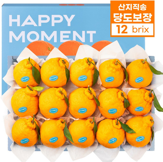 26년 설 프리미엄 과일 선물세트 레드향 한라봉 윈터프린스 천혜향, 1박스, 4kg, 한라봉 선물세트