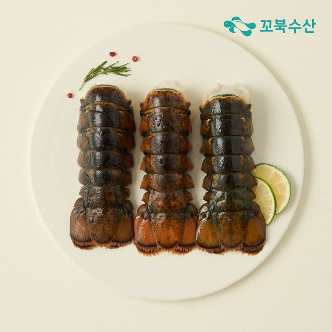 랍스터 추천 BEST7 — 이렇게 고르세요 (2026)