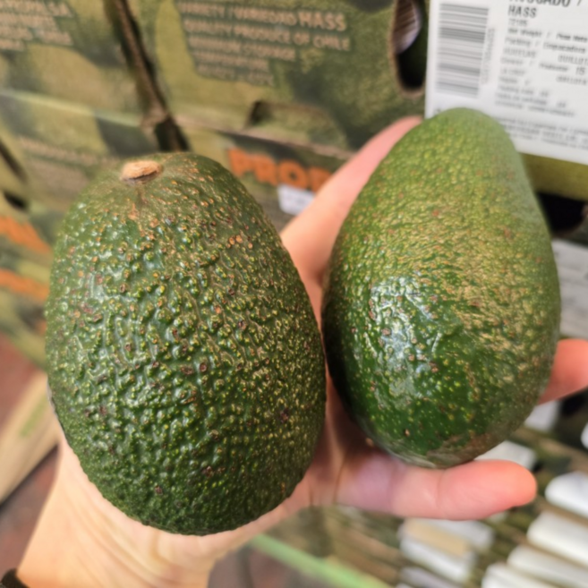 아보카도 생과 대과 뉴질랜드 햇딴, 7개, 상