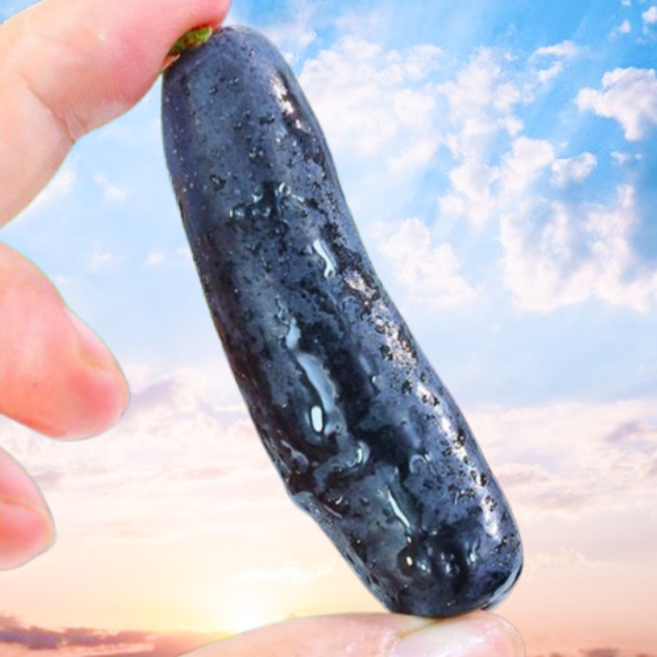 [3일특가할인] 품절대란 달콤과즙 가지포도 블랙사파이어포도, 1박스, 3kg