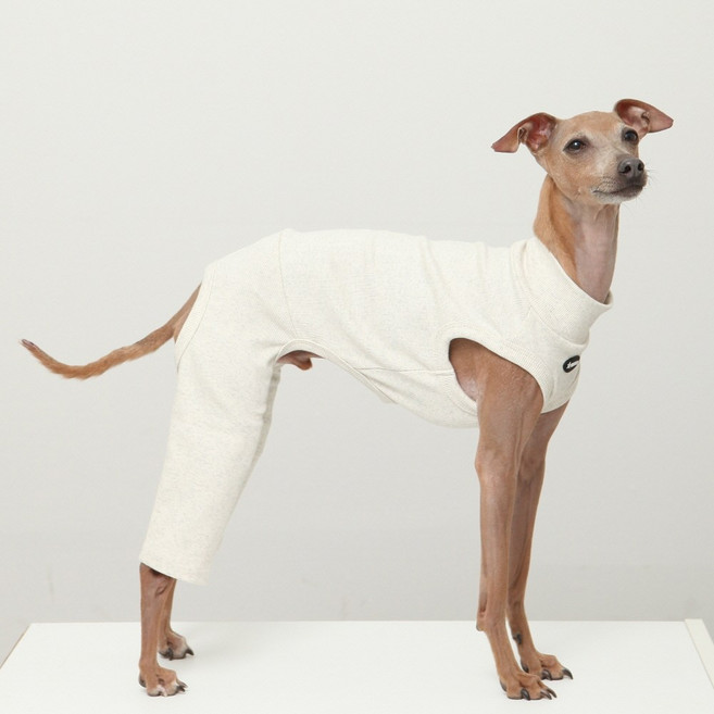 도기스타 이탈리안그레이하운드옷 아이쥐옷 민소매 신축 올인원, 1개, 율무