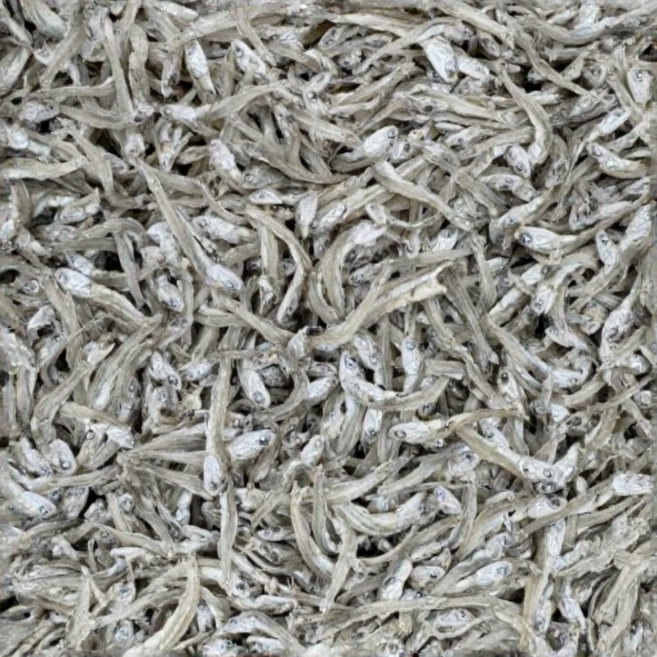 국산 햇 가이리 멸치, 1개, 1.5kg