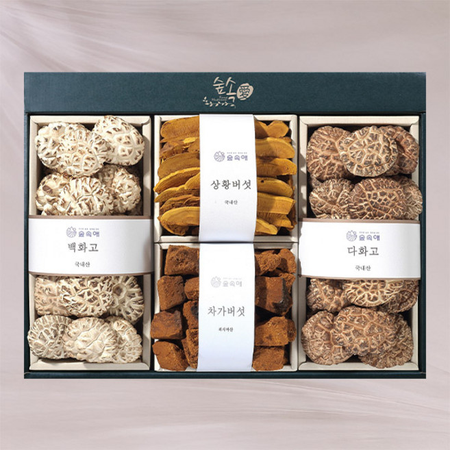 숲속애 차가담은백화고혼합GIFT, 1세트