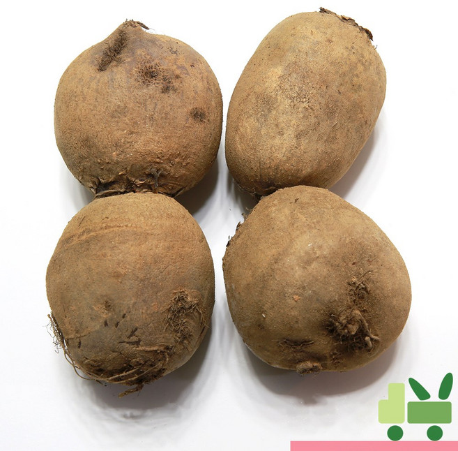 사라상회 비트 5Kg (상), 1개