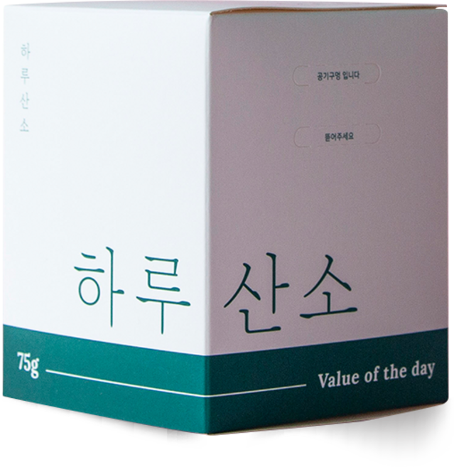 하루산소L 5개월 가정용 산소발생기 고체산소 공기정화 산소한그루 산소캔 휴대용 차량용, 1개