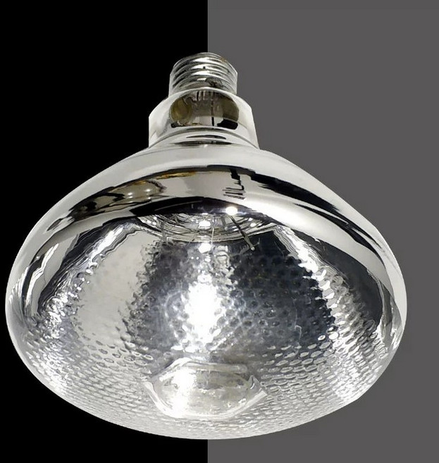 보온등 닭장 병아리 사육 사육용 키우기 돼지, 1개, 250W 두꺼운 1개